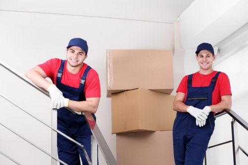 Flexible storage support for moving and decluttering in Earls Court