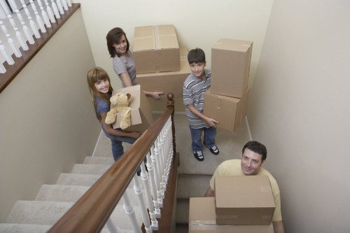 Mid-process review of a removals complaint